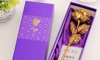 Xuất hiện hoa hồng &apos;mạ vàng&apos; giá chỉ 10.000 đồng/bông