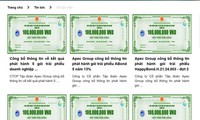 Tập đoàn APEC bị xử phạt 600 triệu đồng vì phát hành trái phiếu "chui".