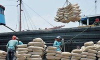 Xi măng tăng giá sau khi giá xăng tăng mạnh.