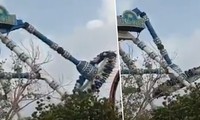 Khoảnh khắc đu văng gãy đôi. Ảnh cắt từ video