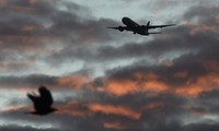 Phi công bắt trúng khoảnh khắc chim tan xác vì &apos;đấu đầu&apos; Boeing 737