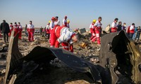 Hiện trường vụ rơi máy bay ở Tehran (Iran) hôm 8/1. Ảnh: ANA