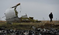 Hiện trường vụ rơi máy bay MH17. Ảnh: Sputnik