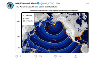 Hình ảnh về trận động đất và cảnh báo sóng thần. Ảnh: RT
