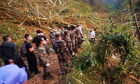 Nhân chứng kể lại khoảnh khắc máy bay chở khách Trung Quốc rơi thẳng đứng xuống rừng 
