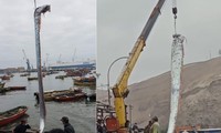 Tận thấy cá &apos;dự báo động đất&apos; khổng lồ dài gần 5m