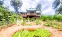 Vợ chánh án huyện chiếm đất rừng phòng hộ, xây dựng công trình trái phép