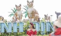 Bạn trẻ diện áo dài chụp hình với linh vật &apos;gia đình mèo&apos; Tết 2023 ở Bình Định