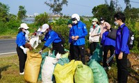 Hàng trăm bạn trẻ dọn rác trên Bán đảo Sơn Trà