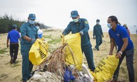 Các bạn thanh niên ra quân làm sạch biển tại bãi biển Tăng Long 2 (phường Tam Quan Nam). Ảnh: Trương Định