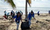 Đoàn viên dọn vệ sinh bờ biển Đà Nẵng sau bão số 9