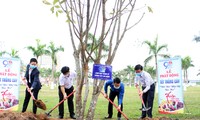 Năm nay, Thành Đoàn Đà Nẵng phấn đầu trồng 50 ngàn cây xanh trên địa bàn, riêng trong Tháng Thanh niên sẽ trao tăng 20 ngàn cây xanh (cây keo) là sinh kế hỗ trợ thanh niên trên địa bàn huyện Hòa Vang lập nghiệp