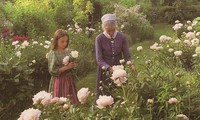 Bạn đọc sáng tác: Vườn bà rộn rã tiếng chim, vấn vương trái ngọt là cả tuổi thơ tôi