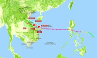 Cập nhật tình hình bão Vamco: Sông Hàn (Đà Nẵng) nước tràn bờ, đảo Lý Sơn mất điện