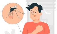 Dịch sốt xuất huyết tăng cao, lưu ý ngay những dấu hiệu nhận biết và cách phòng tránh
