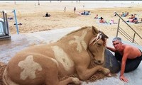 Nghệ thuật điêu khắc trên cát