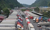 Bộ NN&PTNT khuyến cáo các địa phương, doanh nghiệp tạm dừng đưa hàng nông sản lên biên giới ở Lạng Sơn, tránh gây ùn út, thiệt hại do phía Trung Quốc siết chặt ở cửa khẩu