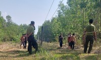 Voi rừng tấn công, một người dân bị thương nặng