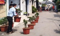 Góc dễ thương &quot;xỉu&quot;: Thi trồng cây táo giảm xì-trét tại các hộ dân quận 12 đang cách ly 