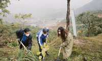 Trung ương Đoàn tham gia trồng mới 30.000 cây xanh rừng đầu nguồn 