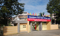 Trường ĐH Đồng Nai nâng điểm đánh trượt thí sinh (ảnh internet)
