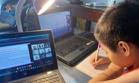 Học sinh lớp 2 tại TPHCM đang học trực tuyến