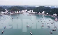 Hai lần đấu giá bất thành tài sản làm dự án du lịch cao cấp ở Cát Bà