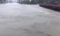 Đàn cá bơi lội trên đường phố ở Trung Quốc sau mưa lớn