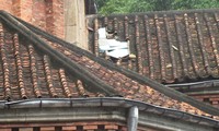 Cận cảnh sự xuống cấp của Nhà thờ Đức Bà Sài Gòn