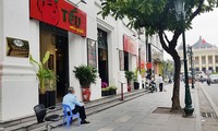 Thanh tra Chính phủ chỉ loạt sai phạm vụ bán đấu giá Agrexport Hà Nội