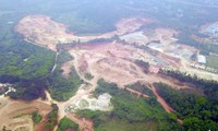 Phó Thủ tướng ‘lệnh’ xử lý dứt điểm việc xây biệt thự trên đất rừng ở Vĩnh Phúc