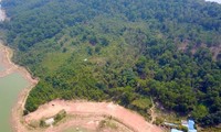 Thái Nguyên chuyển đổi hơn 119 ha đất rừng thực hiện loạt dự án