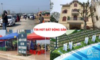 &apos;Cò&apos; biến mất sau sốt đất vùng quê, &apos;khai tử&apos; 2 dự án đang bị Bộ Công an điều tra