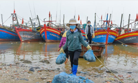 Theo Bộ Nông nghiệp và Phát triển nông thôn, số lượng tàu thuyền “nằm bờ” ngày càng nhiều, tình trạng ngừng ra khơi đánh bắt hải sản đã rất đáng báo động.
