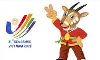 Linh vật SEA Games 31 sao la bị làm nhái khi đại hội còn chưa khởi tranh.