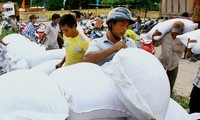 Xuất cấp bổ sung không thu tiền 6.500 tấn gạo từ nguồn dự trữ quốc gia cho 4 tỉnh. Ảnh: minh họa