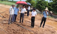 Đề xuất khai quật khẩn cấp mộ cổ vừa phát hiện ở Hà Nội