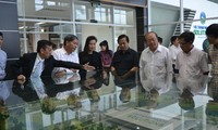 Khu liên hợp xử lý chất thải Đa Phước của ông David Dương đang bị truyền thông công kích gần một tháng nay.