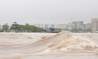 Phó Thủ tướng Trịnh Đình Dũng và đoàn công tác đến kiểm tra công tác ứng phó bão số 3 tại tỉnh Quảng Ninh. Ảnh: TTXVN