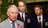 William lo lắng khi Vua Charles nhượng bộ Harry