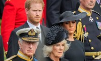 Harry và Meghan đã bị Vua Charles đuổi khỏi nhà 