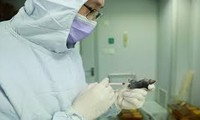 Giải mã gen 2 ca bệnh mắc mới COVID-19 tại Quảng Ninh và Hải Dương