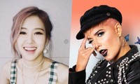 Tin nổi không, Halsey học cả tiếng Hàn vì Rosé (BLACKPINK) đây này!