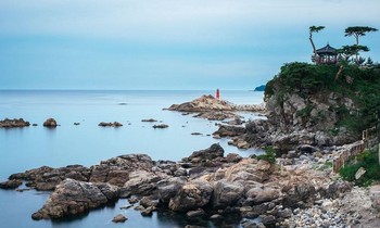 Vụ 100 du khách mất liên lạc ở Hàn Quốc: Đề nghị phạt và tước giấy phép 4 công ty lữ hành