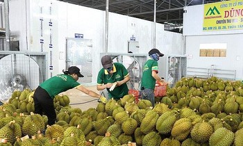 Điểm danh 8 nông sản Việt giá trị tỷ USD xuất khẩu nhiều nhất sang Mỹ