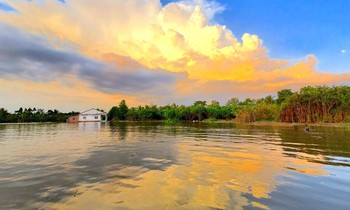 12 nhà dân rơi xuống sông: Vĩnh Long công bố tình trạng khẩn cấp