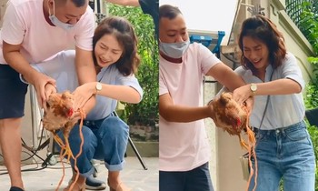 Hậu trường "11 Tháng 5 Ngày": Khả Ngân bị chê làm màu khi sợ gà, netizen lên tiếng bảo vệ