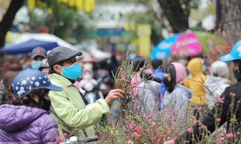 Bộ Lao động thông báo về lịch nghỉ Tết Âm lịch Quý Mão