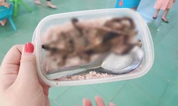 Mạng xã hội xôn xao bức ảnh "học sinh phải ăn cơm với thịt chuột", thực hư là thế nào?