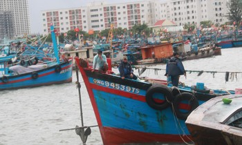 Hàng trăm tàu cá nối đuôi nhau vào âu thuyền Thọ Quang tránh bão Côn Sơn